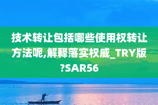 技术转让包括哪些使用权转让方法呢,解释落实权威_TRY版?SAR56