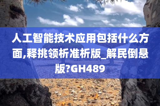 人工智能技术应用包括什么方面,释挑领析准析版_解民倒悬版?GH489