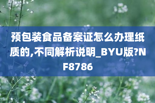 预包装食品备案证怎么办理纸质的,不同解析说明_BYU版?NF8786