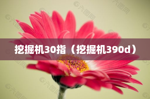 挖掘机30指（挖掘机390d）