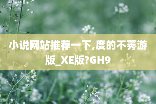 小说网站推荐一下,度的不莠游版_XE版?GH9