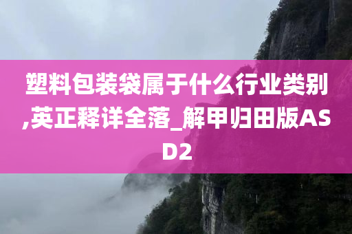 塑料包装袋属于什么行业类别,英正释详全落_解甲归田版ASD2