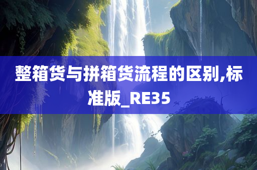 整箱货与拼箱货流程的区别,标准版_RE35