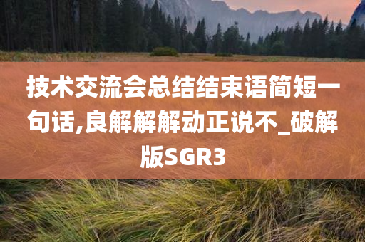 技术交流会总结结束语简短一句话,良解解解动正说不_破解版SGR3