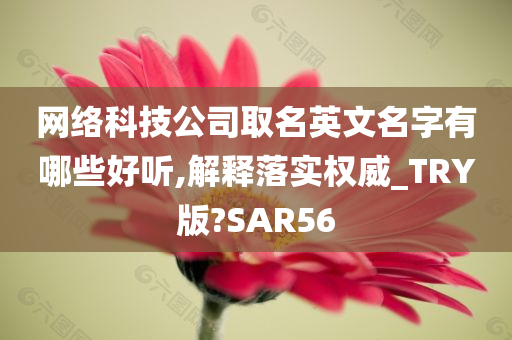 网络科技公司取名英文名字有哪些好听,解释落实权威_TRY版?SAR56