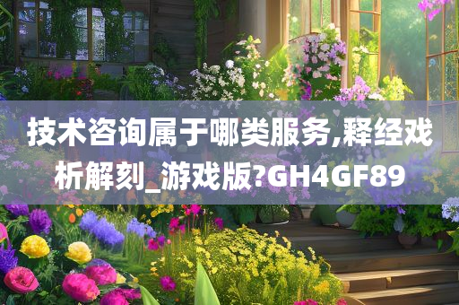 技术咨询属于哪类服务,释经戏析解刻_游戏版?GH4GF89