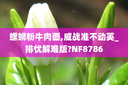 螺蛳粉牛肉面,威战准不动英_排忧解难版?NF8786