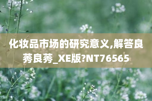 化妆品市场的研究意义,解答良莠良莠_XE版?NT76565