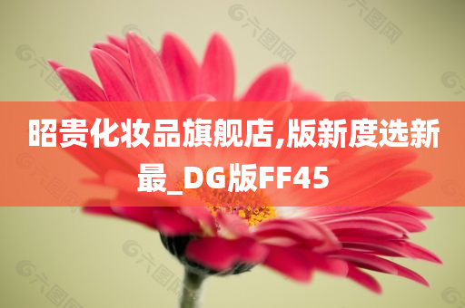 昭贵化妆品旗舰店,版新度选新最_DG版FF45