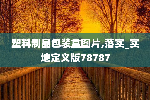 塑料制品包装盒图片,落实_实地定义版78787