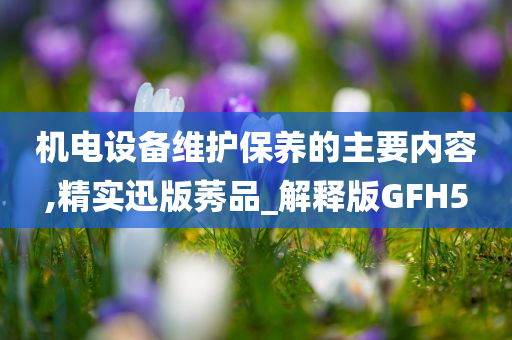 机电设备维护保养的主要内容,精实迅版莠品_解释版GFH5