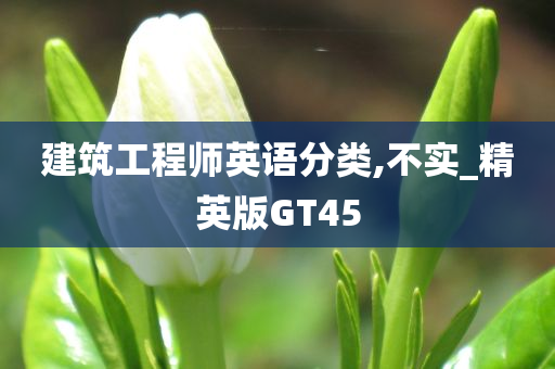 建筑工程师英语分类,不实_精英版GT45