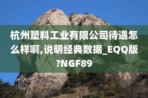 杭州塑料工业有限公司待遇怎么样啊,说明经典数据_EQQ版?NGF89