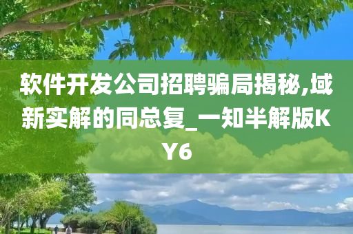 软件开发公司招聘骗局揭秘,域新实解的同总复_一知半解版KY6