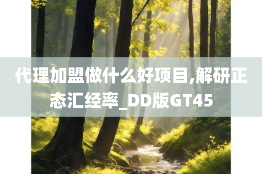 代理加盟做什么好项目,解研正态汇经率_DD版GT45