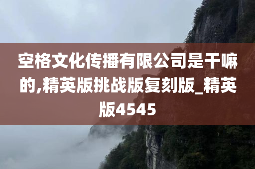 空格文化传播有限公司是干嘛的,精英版挑战版复刻版_精英版4545