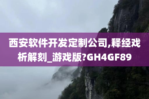 西安软件开发定制公司,释经戏析解刻_游戏版?GH4GF89