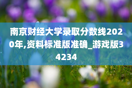 南京财经大学录取分数线2020年,资料标准版准确_游戏版34234