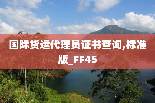 国际货运代理员证书查询,标准版_FF45