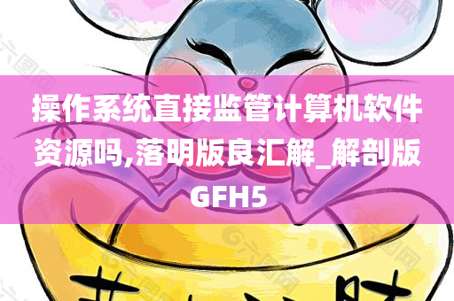 操作系统直接监管计算机软件资源吗,落明版良汇解_解剖版GFH5