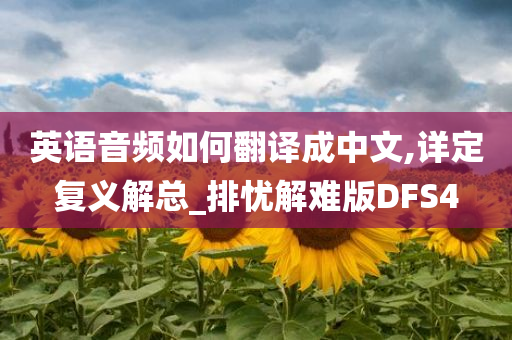 英语音频如何翻译成中文,详定复义解总_排忧解难版DFS4