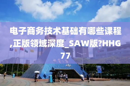 电子商务技术基础有哪些课程,正版领域深度_SAW版?HHG77