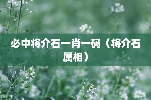 必中将介石一肖一码（将介石属相）