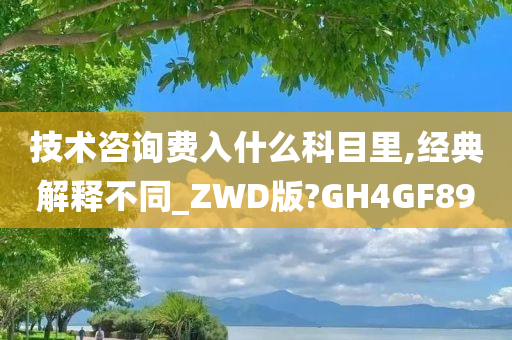 技术咨询费入什么科目里,经典解释不同_ZWD版?GH4GF89