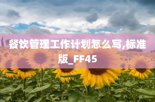 餐饮管理工作计划怎么写,标准版_FF45