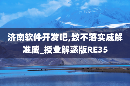 济南软件开发吧,数不落实威解准威_授业解惑版RE35