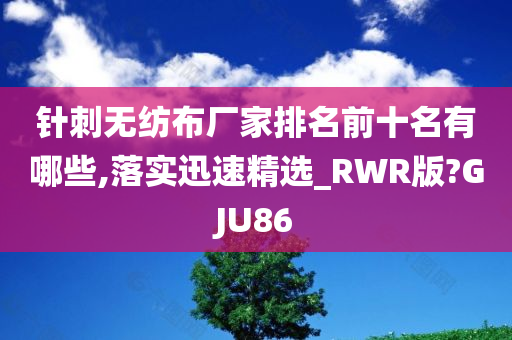 针刺无纺布厂家排名前十名有哪些,落实迅速精选_RWR版?GJU86