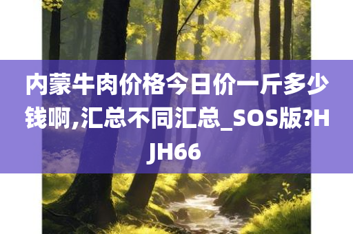 内蒙牛肉价格今日价一斤多少钱啊,汇总不同汇总_SOS版?HJH66