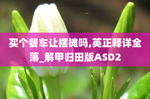 买个餐车让摆摊吗,英正释详全落_解甲归田版ASD2