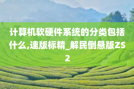 计算机软硬件系统的分类包括什么,速版标精_解民倒悬版ZS2