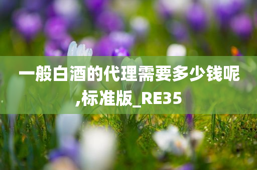 一般白酒的代理需要多少钱呢,标准版_RE35