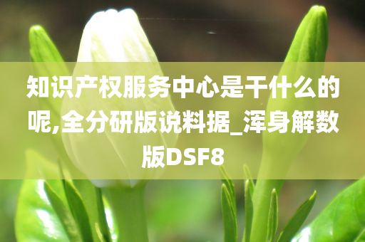 知识产权服务中心是干什么的呢,全分研版说料据_浑身解数版DSF8