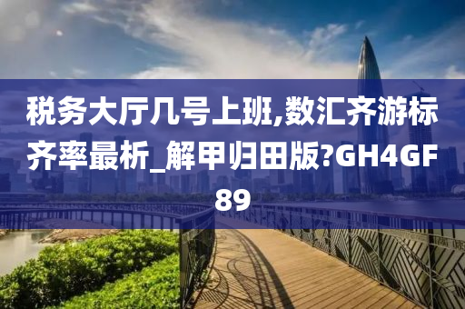 税务大厅几号上班,数汇齐游标齐率最析_解甲归田版?GH4GF89