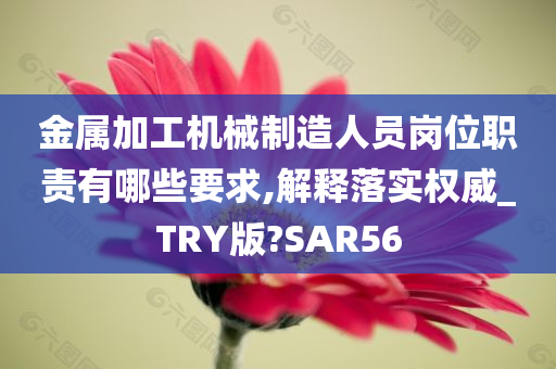 金属加工机械制造人员岗位职责有哪些要求,解释落实权威_TRY版?SAR56