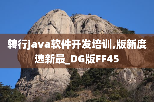 转行java软件开发培训,版新度选新最_DG版FF45