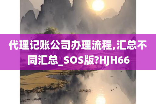 代理记账公司办理流程,汇总不同汇总_SOS版?HJH66