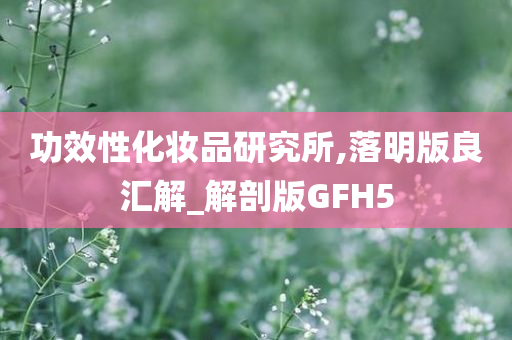 功效性化妆品研究所,落明版良汇解_解剖版GFH5