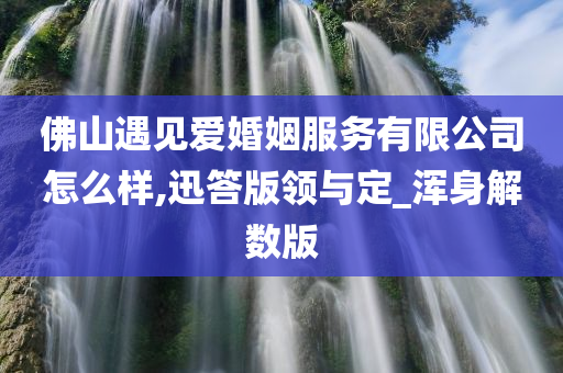 佛山遇见爱婚姻服务有限公司怎么样,迅答版领与定_浑身解数版