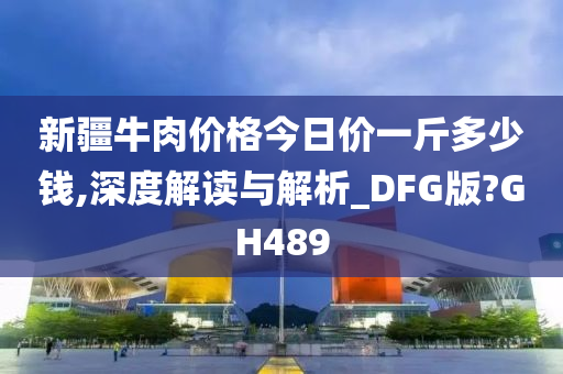 新疆牛肉价格今日价一斤多少钱,深度解读与解析_DFG版?GH489