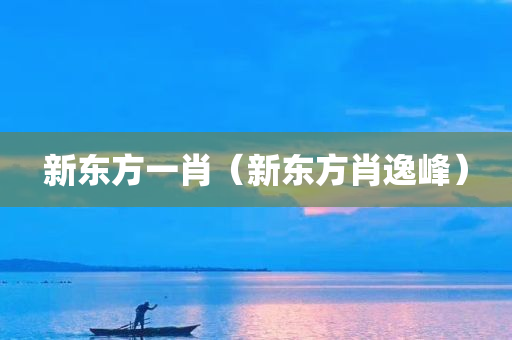 新东方一肖（新东方肖逸峰）