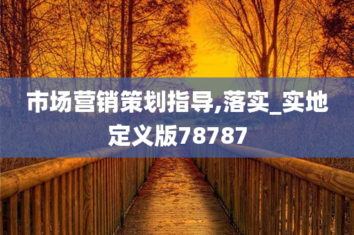 市场营销策划指导,落实_实地定义版78787