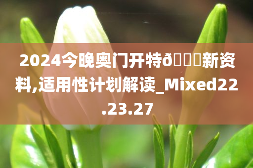 2024今晚奥门开特🐎新资料,适用性计划解读_Mixed22.23.27