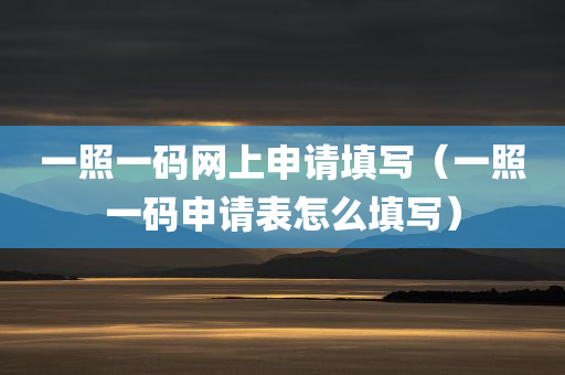 一照一码网上申请填写（一照一码申请表怎么填写）