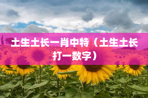 土生土长一肖中特（土生土长打一数字）