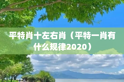 平特肖十左右肖（平特一肖有什么规律2020）