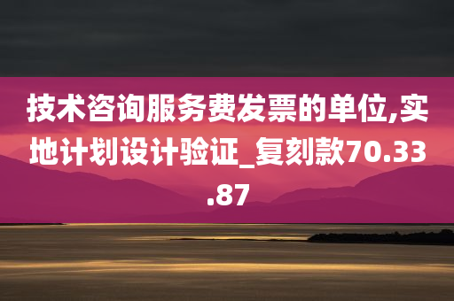 技术咨询服务费发票的单位,实地计划设计验证_复刻款70.33.87